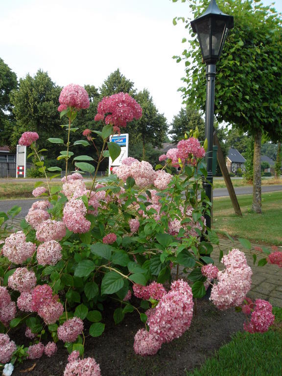 Hof Van Lutten ภายนอก รูปภาพ